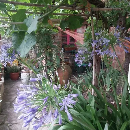 Bed & Breakfast Sotto Il Castello *